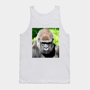 SILVERBACK Tank Top